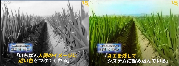 사진=NHK 홈페이지