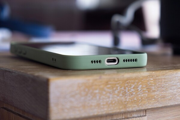 사진 출처 : 픽사베이