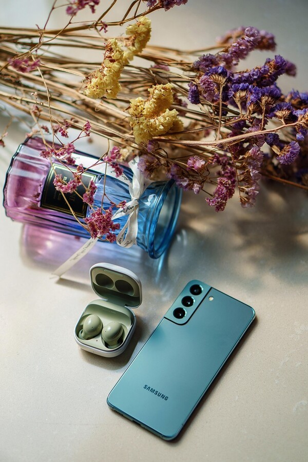 사진 출처 : 픽사베이