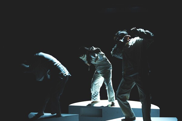 연극 '배우, 북극곰 그리고 물고기들'은 크게 세 플롯으로 진행된다. 사진=나온씨어터, 프로젝트 BB